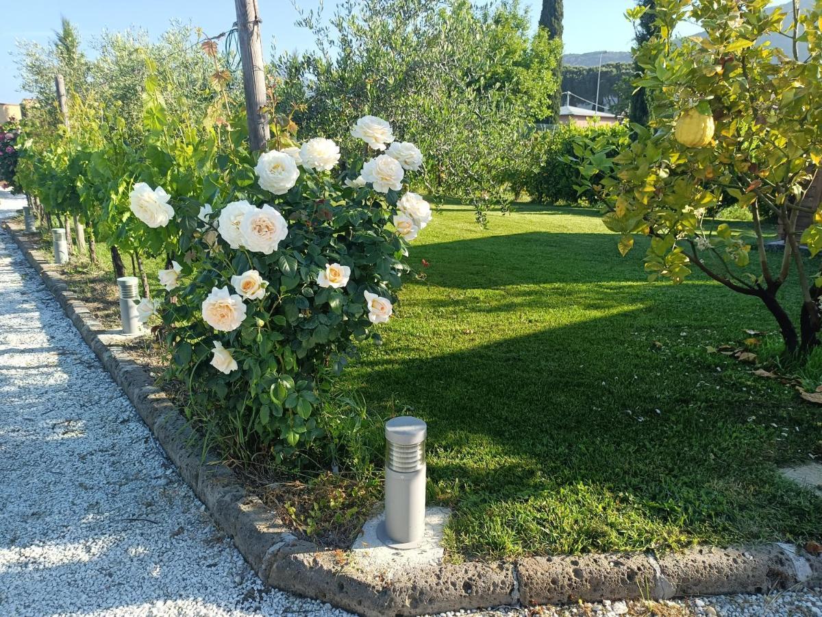 La Casa Di Samarcanda Uliveto Terme المظهر الخارجي الصورة